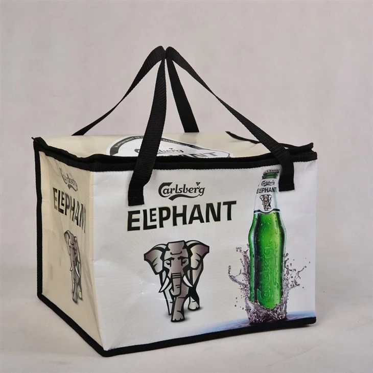 Camping Cooler Bags