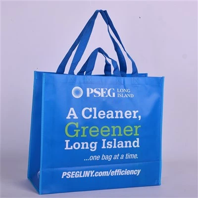 Non Woven Fabric Carry Bag