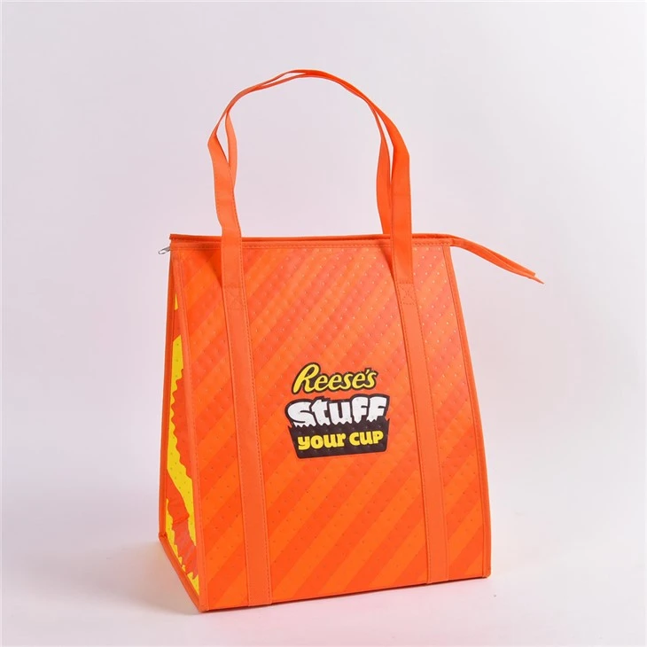 Premium Thermal Cooler Bags